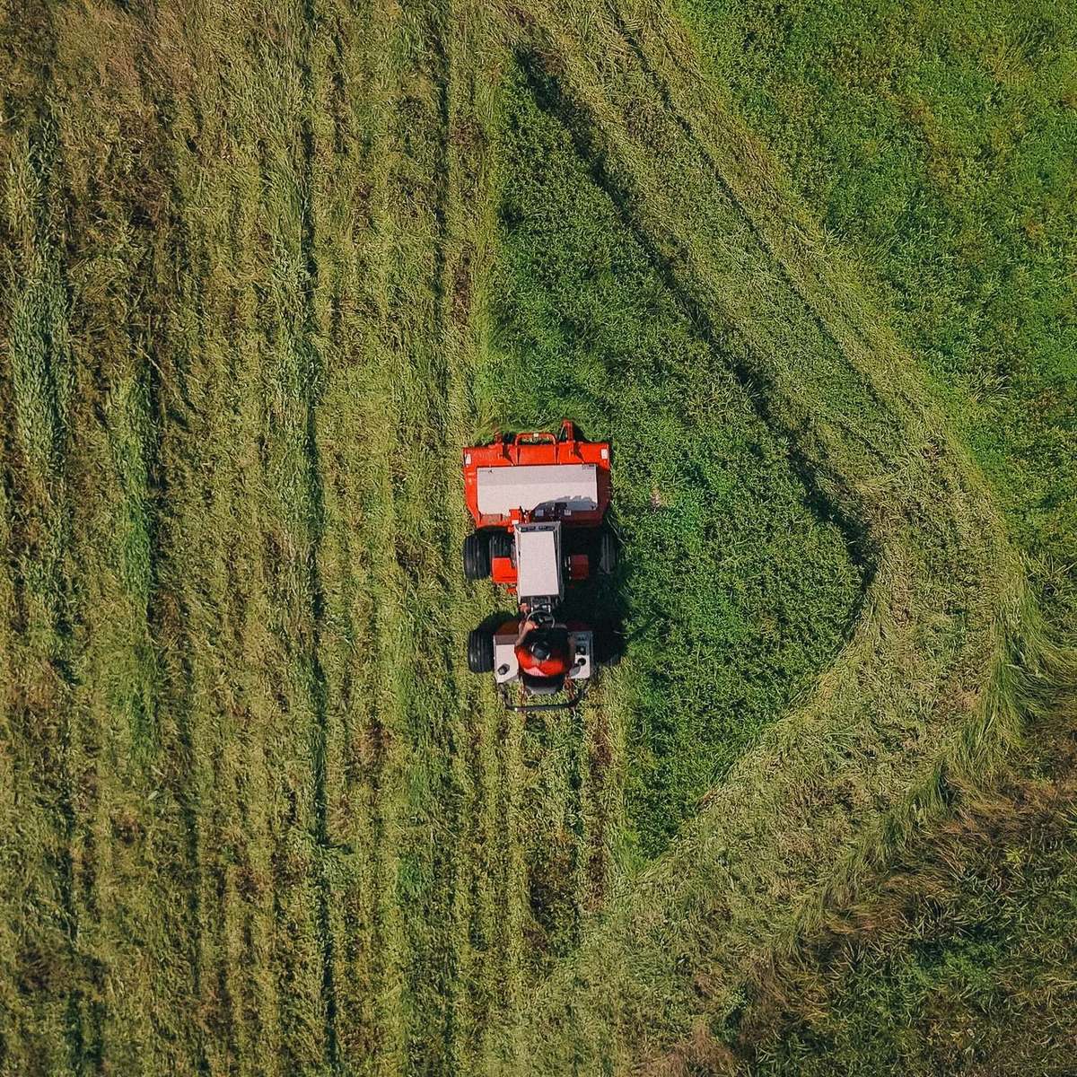 Drone view of a freshly striped lawn mowed by Anderson Lawn Care