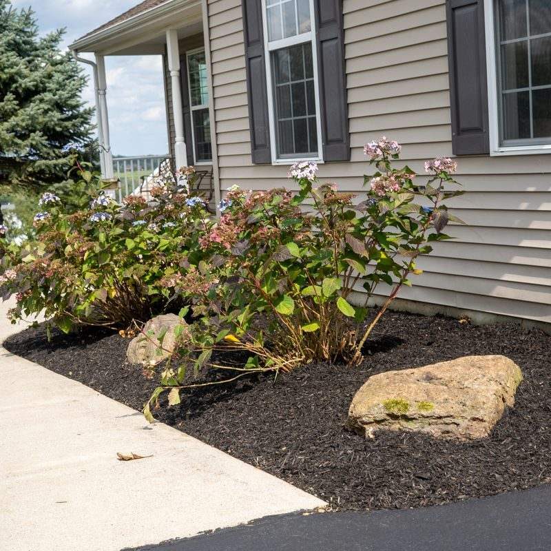Freshly mulched landscape bed with clean edges